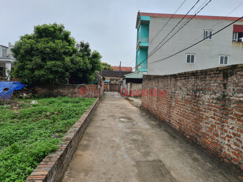 Property Search Vietnam | OneDay | Nhà ở | Niêm yết bán | Bán 174m đất Mỹ Nội Bắc Hồng giá rẻ mặt tiền 10m giá chỉ 2x bán nhanh trong vòng 10 ngày