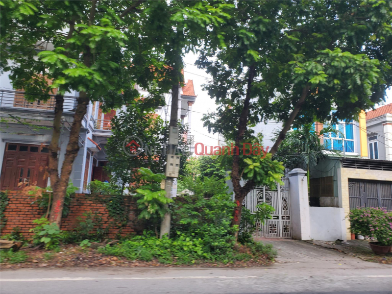 Nearly a hundred meters from Phu Lien, Bac Hong, beautiful lot, cars parked at the door, Vietnam | Sales | ₫ 25 Million