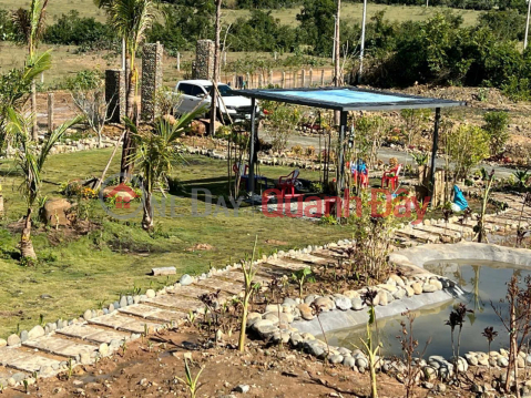 SUPER BEAUTIFUL LAND - INVESTMENT PRICE - Need to sell a plot of land in Phuoc Trung commune, Ninh Thuan _0