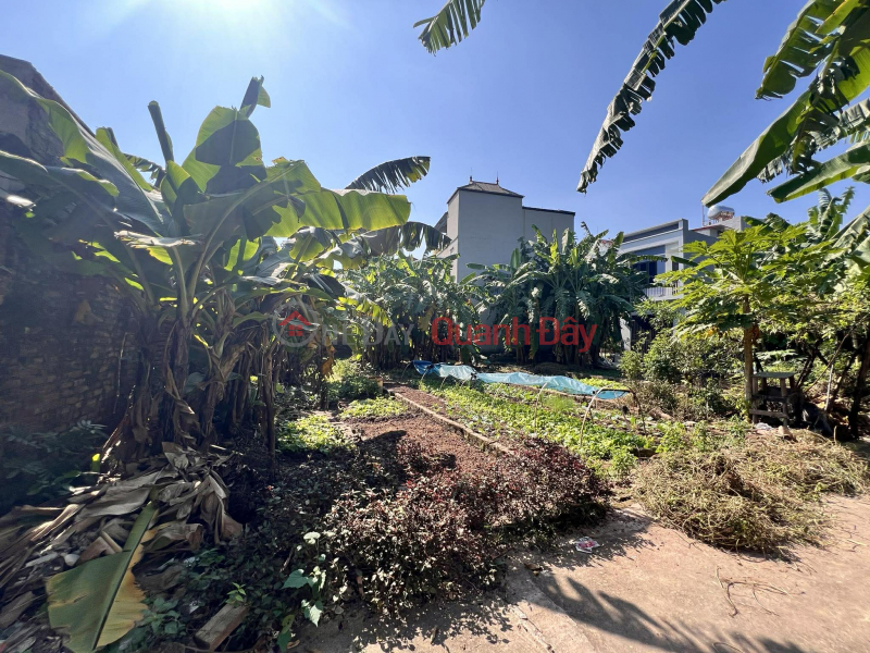 Chủ cần bán 69.5 m2 Dương Quang - Gia Lâm, giá chỉ 2.8 tỷ, lh 0985865658, Việt Nam Bán | đ 2,8 tỷ