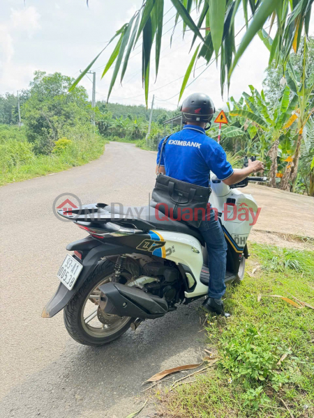 OWNER NEEDS TO SELL A LOT OF LAND IN A GOOD LOCATION IN Tan Tra, Tan Xuan, Dong Xoai, Binh Phuoc - SUPER GOOD PRICE, Vietnam | Sales, đ 870 Million