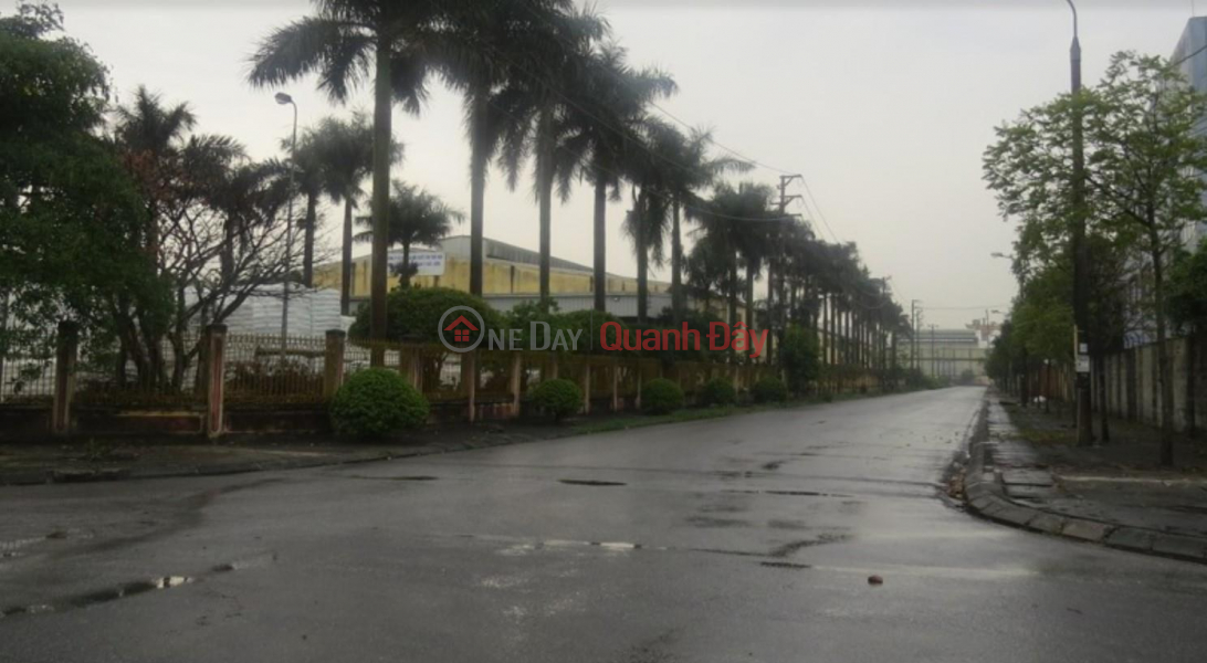 Selling 5000m2 of land in Quat Dong Industrial Park, Thuong Tin, with a separate area of 2500m2 Sales Listings