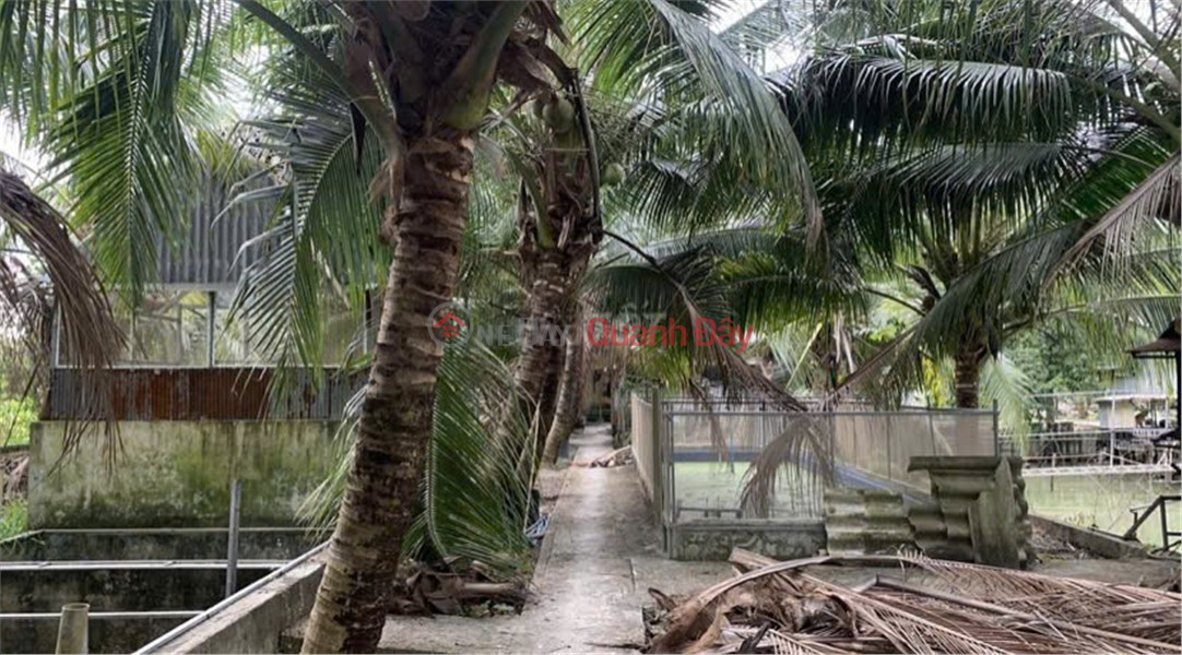 đ 3,8 tỷ, CHÍNH CHỦ CẦN BÁN NHÀ VƯỜN 3000m2 CẦU ÔNG MỖNG, THUẬN HƯNG, THỐT NỐT, Cần Thơ