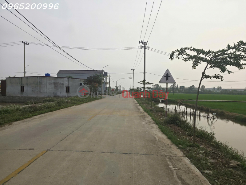 Cần tiền bán nhanh lô đất mặt tiền Xã Khánh Hội, Ninh Bình, DT 173m2, giá 5,3 tỷ, Việt Nam | Bán đ 5,3 tỷ