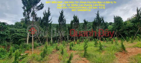 ĐẤT SIÊU ĐẸP - GIÁ ĐẦU TƯ- Chính Chủ Cần Bán Lô Đất Vị Trí Đẹp Tại Xã ĐạSar, Lạc Dương, Lâm Đồng _0