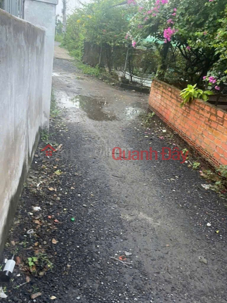 đ 1.35 Billion BEAUTIFUL HOUSE – GOOD PRICE – HOUSE FOR SALE AT D15\\/427C 4C Street, Da Phuoc Commune, Binh Chanh District, Ho Chi Minh City