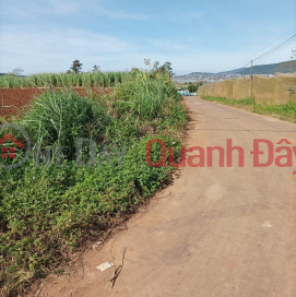 Beautiful Land - Good Price - Owner Needs to Sell Land Lot in Nice Location in the Central Area of Quang Lap Commune _0