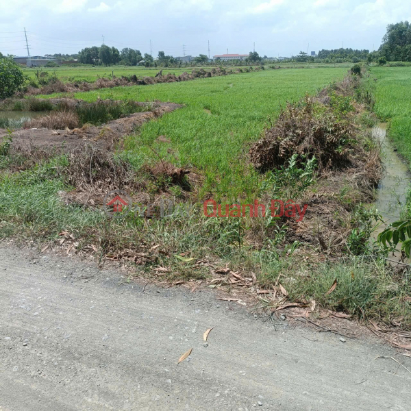 LAND FOR SALE QUICKLY NEXT TO VINHOME SAIGON PARK - GOOD PRICE Located near Thieu Nien Street, Xuan Thoi Son, Hoc Mon, HCM Sales Listings