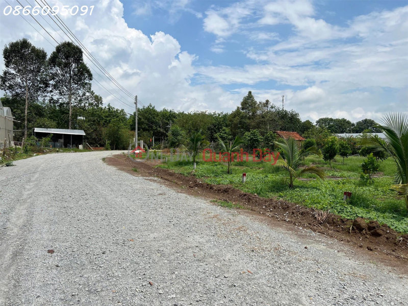 Property Search Vietnam | OneDay | Nhà ở, Niêm yết bán, Bán đất tại đường Lò Rèn, Long Hòa, 915m2, giá tốt chỉ 6tr/m2, view đẹp