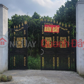 LONG KHANH JACKFRUIT GARDEN FOR SALE _ NORTHEAST FACING _0