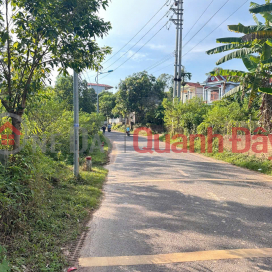 Chính chủ gửi bán gộp 2 lô đất đẹp - Đất ở và đất trồng cây lâu năm _0