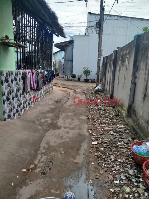 OWNER Needs to Sell Land Quickly in Truong Khanh Commune, Long Phu District, Soc Trang _0