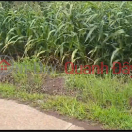 ĐẤT ĐẸP – GIÁ TỐT - Chính Chủ Bán Đất Xã Lang Minh, Huyện Xuân Lộc, Đồng Nai _0