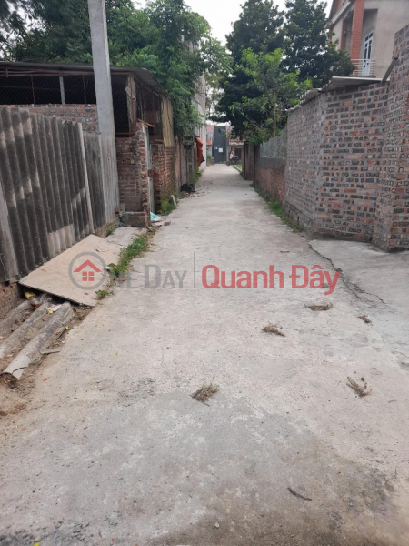 Property Search Vietnam | OneDay | Residential Sales Listings | BEAUTIFUL LAND - GOOD PRICE - Urgent sale by owner in Hien Ninh, Soc Son, Hanoi