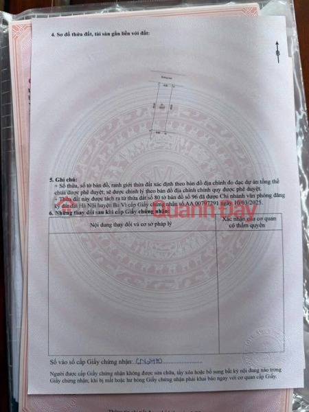Chính chủ bán đất thôn Cẩm An, xã Cẩm Lĩnh, Ba Vì, Hà Nội - 232m2, , thích hợp đầu tư dài hạn, Việt Nam, Bán, đ 1,59 tỷ