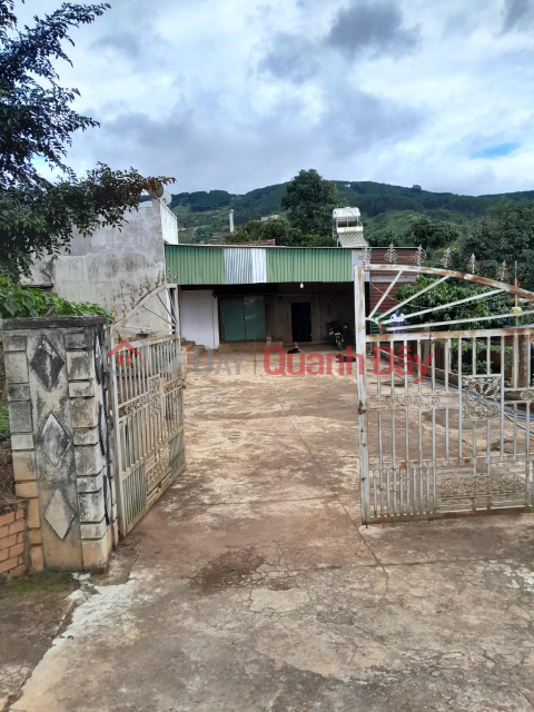 PRIME LAND FOR OWNER - GOOD PRICE - LAND FOR SALE AT Thanh Tri, Dong Thanh Commune, Lam Ha District, Lam Dong Province _0