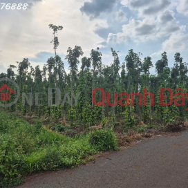 Bán đất tại Bình Trung, Châu Đức, Bà Rịa Vũng Tàu, DT 1.000m2, giá đầu tư _0