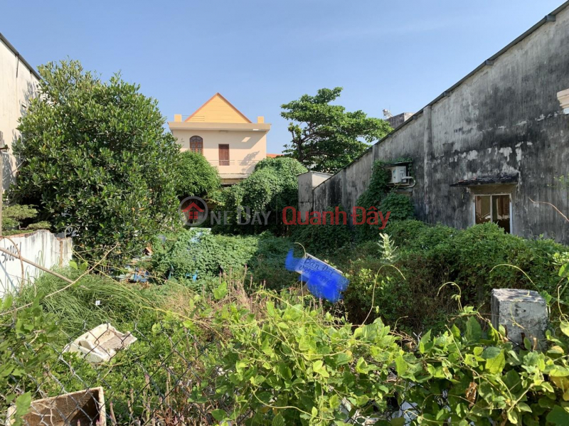 OWN A LOT OF LAND NOW - Good Price In Phuoc Hung Commune, Long Dien, BRVT Sales Listings