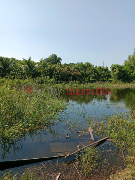 Chính Chủ Cần Bán Đất Nghỉ Dưỡng View Hồ Trị An Cực Đẹp - Thoáng Mát Tại La Ngà – Định Quán – Đồng Nai | Việt Nam, Bán | đ 7,2 tỷ