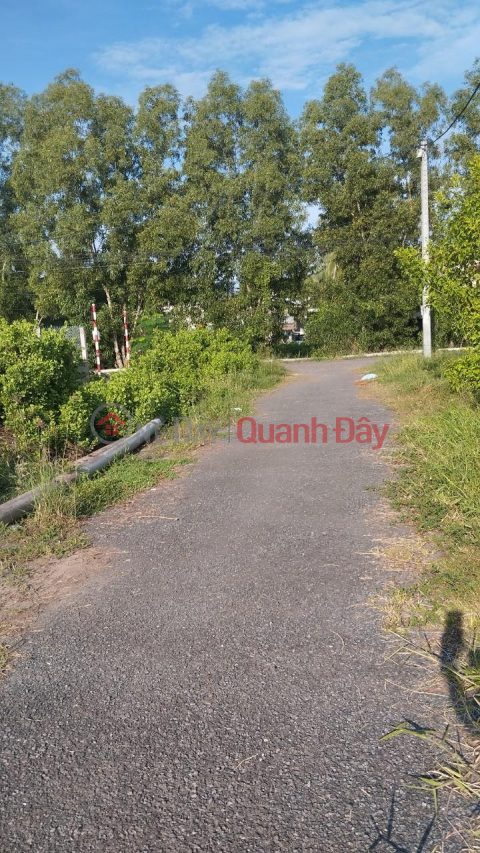 OWNER FOR SALE 2 Adjacent Land Lots Beautiful Location In Long Duc, Tra Vinh City _0