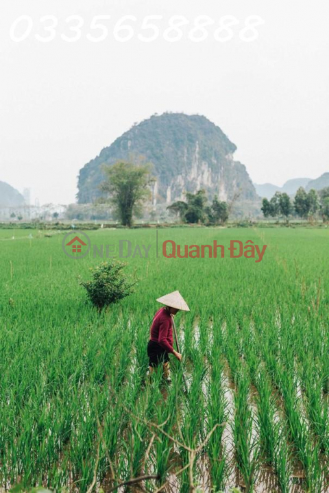 Review Du Lịch Hòa Bình: Trải Nghiệm \