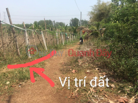 GIÁ TỐT - CHỐT LIỀN - Đất Chính Chủ Vị Trí Đẹp Tại Xã Sông Thao, Huyện Trảng Bom - Đồng Nai _0