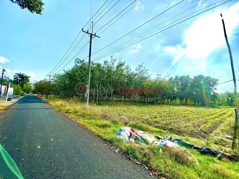 Property Search Vietnam | OneDay | Nhà ở, Niêm yết bán ĐẤT ĐẸP - GIÁ TỐT - Bán GẤP Lô Đất Tiềm Năng Tại Phú Mỹ Hưng, Củ Chi, HCM