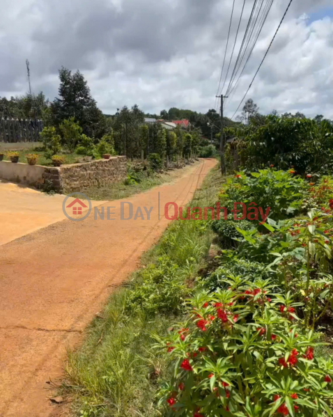 Property Search Vietnam | OneDay | Nhà ở | Niêm yết bán, HOT HOT – CHÍNH CHỦ CẦN BÁN NHANH LÔ ĐẤT THỔ CƯ ĐẸP XÃ Đăk Hòa, Đắk Sông, Đắk Nông