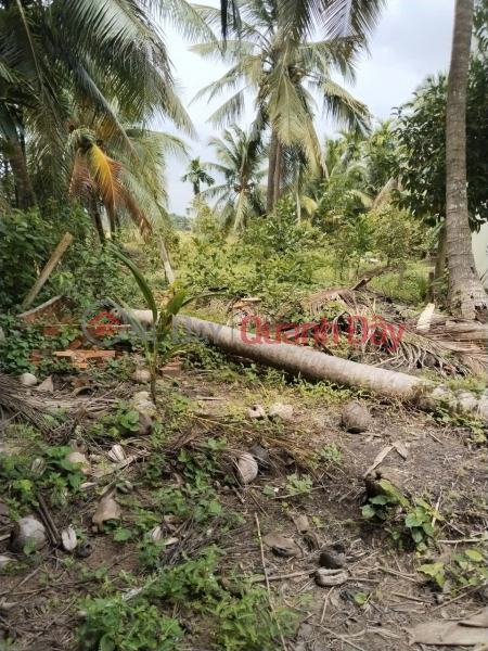 BEAUTIFUL LAND - PROFITABLE INVESTMENT - Owner Urgently Sells Garden Land in Long Hoa Ward, Binh Thuy, Can Tho | Vietnam | Sales, đ 1.1 Billion