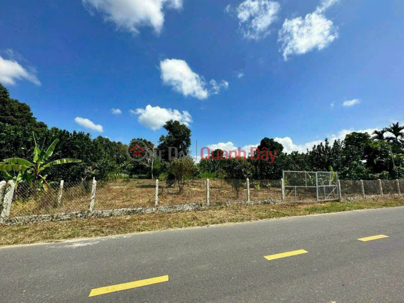 Land located on Provincial Road 2, Dien Tho Commune, Dien Khanh District, Khanh Hoa Province - Land with existing fruit orchard. Sales Listings