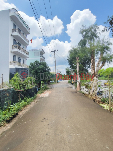 D2027 ️️ 4 plots of land with river view on Ha Huy Giap Street, District 12, Ho Chi Minh City, Shared Ownership, Alley Access, 3.x billion VND | Vietnam, Sales, đ 3.8 Billion
