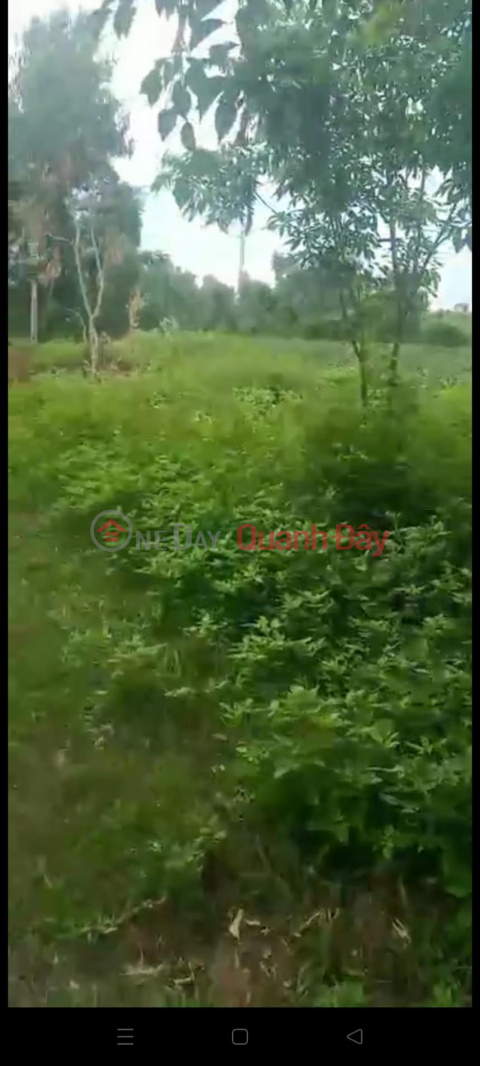 Plot For Sale Land Lot Great Location In Xuan Loc Commune, Hau Loc District, Thanh Hoa Province _0