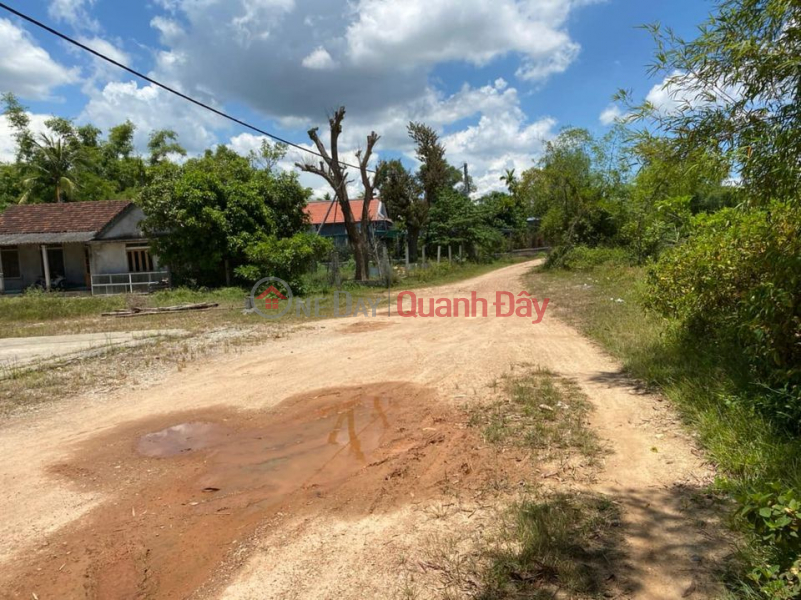 Beautiful land with two wide frontages Nguyen Viet Xuan! Sales Listings