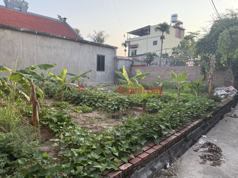 Property Search Vietnam | OneDay | Nhà ở, Niêm yết bán ĐẤT NỀN NINH XÁ - GẦN KCN THUẬN THÀNH - GIÁ ĐẦU TƯ CỰC TỐT - SINH LỜI CAO!