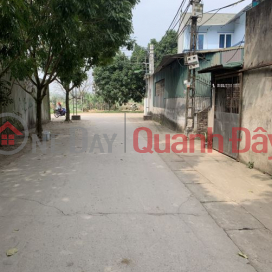 Selling agricultural land in Dai Lan, Duyen Ha, Thanh Tri with an area of 700m2 for only a few million. _0