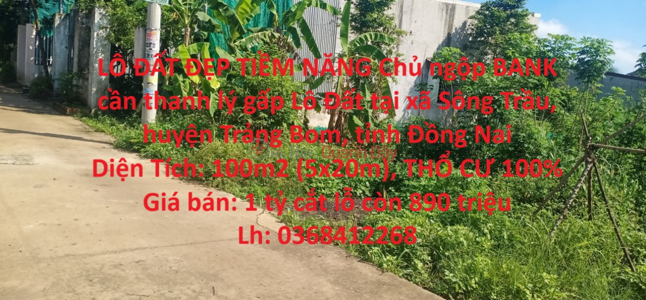 LOT OF POTENTIAL LOT OF POTENTIAL The owner of BANK needs urgent liquidation Lot of land in Trang Bom district, Dong Nai province Sales Listings