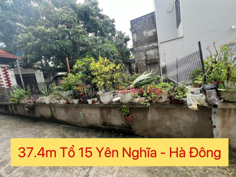 OWNER NEEDS TO SELL 37.4M2 LAND LOT IN YEN NGHIA-HA DONG-HA NOI Sales Listings