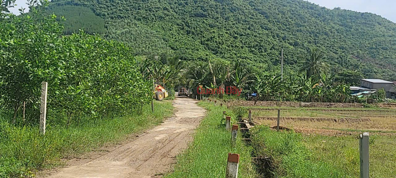 Property Search Vietnam | OneDay | Residential Sales Listings, RESIDENTIAL LAND FOR SALE - LOW PRICE OWNER LAND IN DIEN TAN, DIEN KHANH