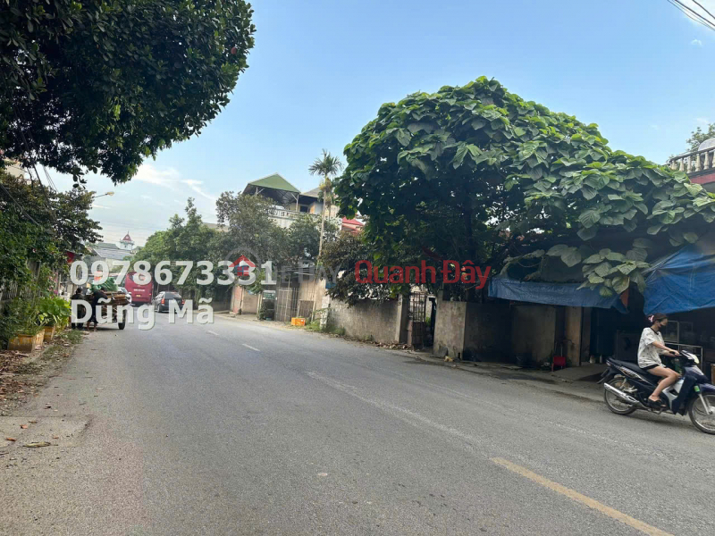 LAND FOR SALE IN XUAN MAI CENTER - CHUONG MY, AREA: 129M2, Vietnam, Sales, đ 2.7 Billion