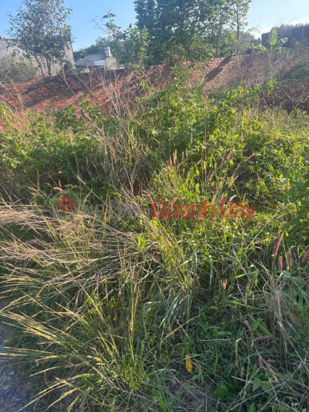 Property Search Vietnam | OneDay | Nhà ở | Niêm yết bán ĐẤT ĐẸP - GIÁ TỐT - Chính Chủ Cần Bán Lô Đất 2 MẶT TIỀN Khu phố 4C, Phường Trảng Dài, Đồng Nai