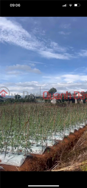 đ 899 Million OWNER Needs to Sell 2-Front Land in Tan Ha Commune, Lam Ha District, Lam Dong