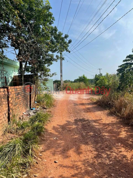 OWN A Beautiful Plot Of Land NOW In Vinh An Town, Vinh Cuu District, Dong Nai | Vietnam Sales đ 700 Million