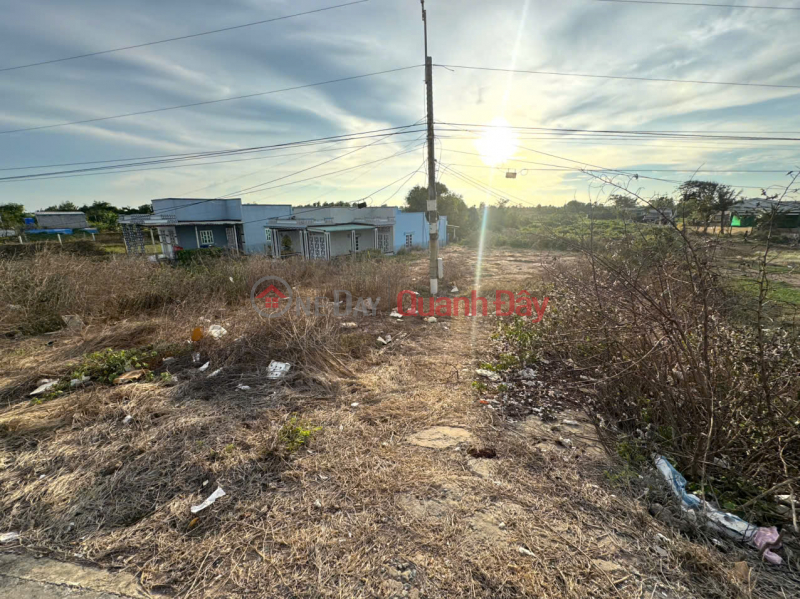 Property Search Vietnam | OneDay | Residential, Sales Listings | PROFITABLE INVESTMENT - OWNER Needs to Quickly Sell Land Plot in Tan Thanh Commune, Go Cong Dong, Tien Giang