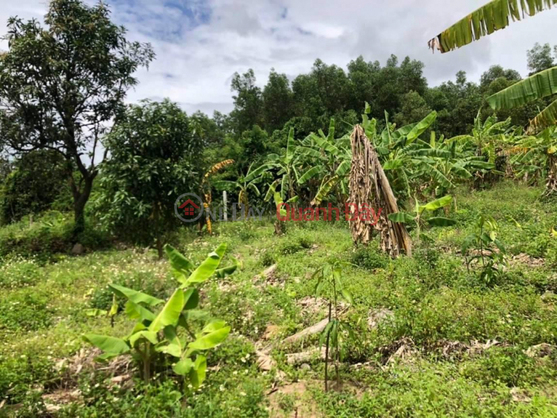 Own Right Now Beautiful Land Lot Great Location In Dien Dien Commune, Dien Khanh District, Khanh Hoa Sales Listings