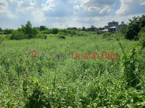 Selling jasmine garden land in P.AP.Dong District 12, blooming late, D. 6m, price only 9x billion _0