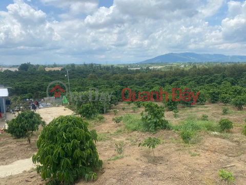 Chính chủ cần bán gấp trong tuần - Lô đất 2 mặt tiền hẻm, Phường 3 Bảo Lộc - Có nhà, cà phê sẵn _0