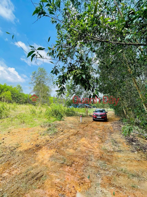 Hot item! Opening for sale 4 cheap land lots from only 185 million\/lot in Dien Xuan commune, Dien Khanh, Khanh Hoa. _0