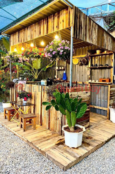 đ 10 Million/ month, Looking to transfer ownership of a super cute homestay on Nguyen Hoang Street in Da Lat, Lam Dong, for 10 million VND.