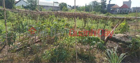 OWNER'S LAND - FRONTAGE Rung Dau Hamlet, My Hanh Bac Commune, Duc Hoa District, Long An _0