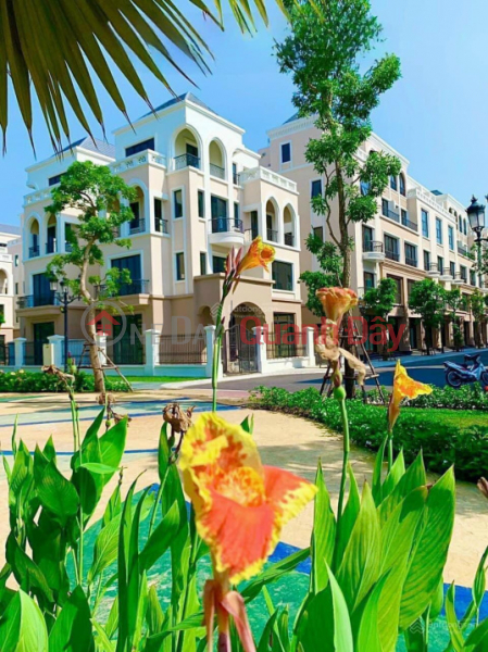 Property Search Vietnam | OneDay | Residential | Sales Listings, Super vip fund "quadruple, duplex, single villa on Coconut Island" - Isolated area, owns vip crystal swimming pool